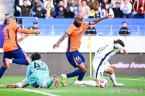 开云体育官网-社区盾杯2024